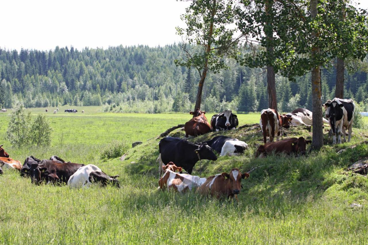 Maekelaen Lomatuvat Bed And Breakfast Korkeakoski  Eksteriør billede